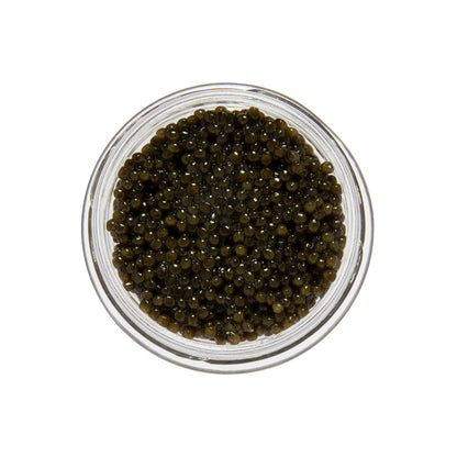 Wholesale Caviar Star Amber Kaluga Hybrid Sturgeon Caviar- Bulk