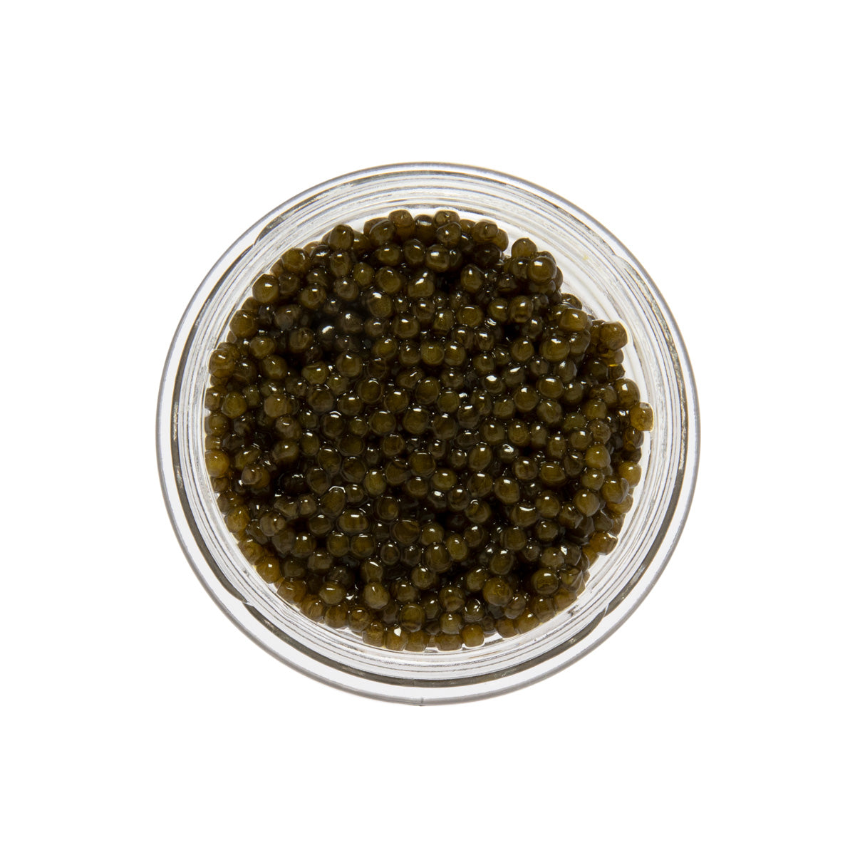 Caviar Star Polish Osetra Sturgeon Caviar