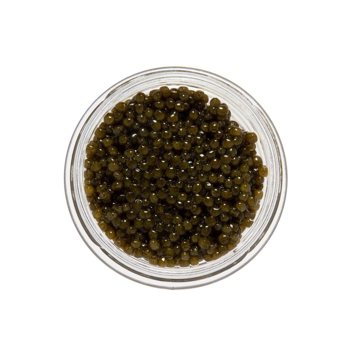 Wholesale Caviar Star Polish Osetra Sturgeon Caviar- Bulk