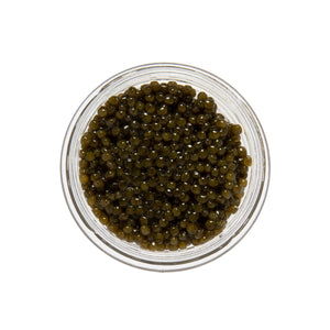 Wholesale Caviar Star Polish Osetra Sturgeon Caviar-2 OZ Bulk