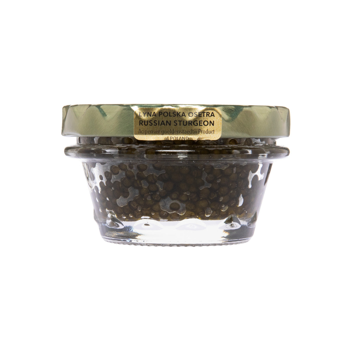 Wholesale Caviar Star Polish Osetra Sturgeon Caviar- Bulk
