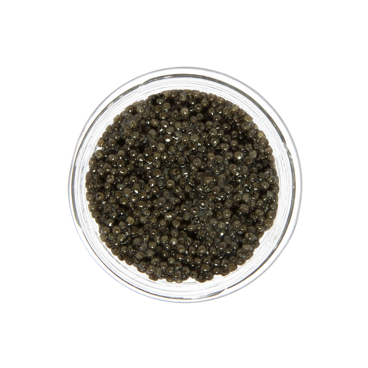 Wholesale Caviar Star Polish Siberian Sturgeon Caviar- Bulk