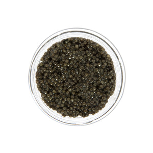 Wholesale Caviar Star Polish Siberian Sturgeon Caviar-2 OZ Bulk