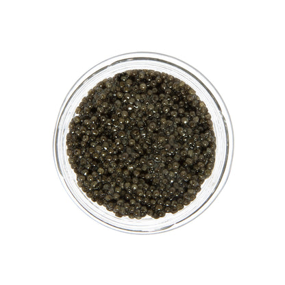 Wholesale Caviar Star Polish Siberian Sturgeon Caviar- Bulk