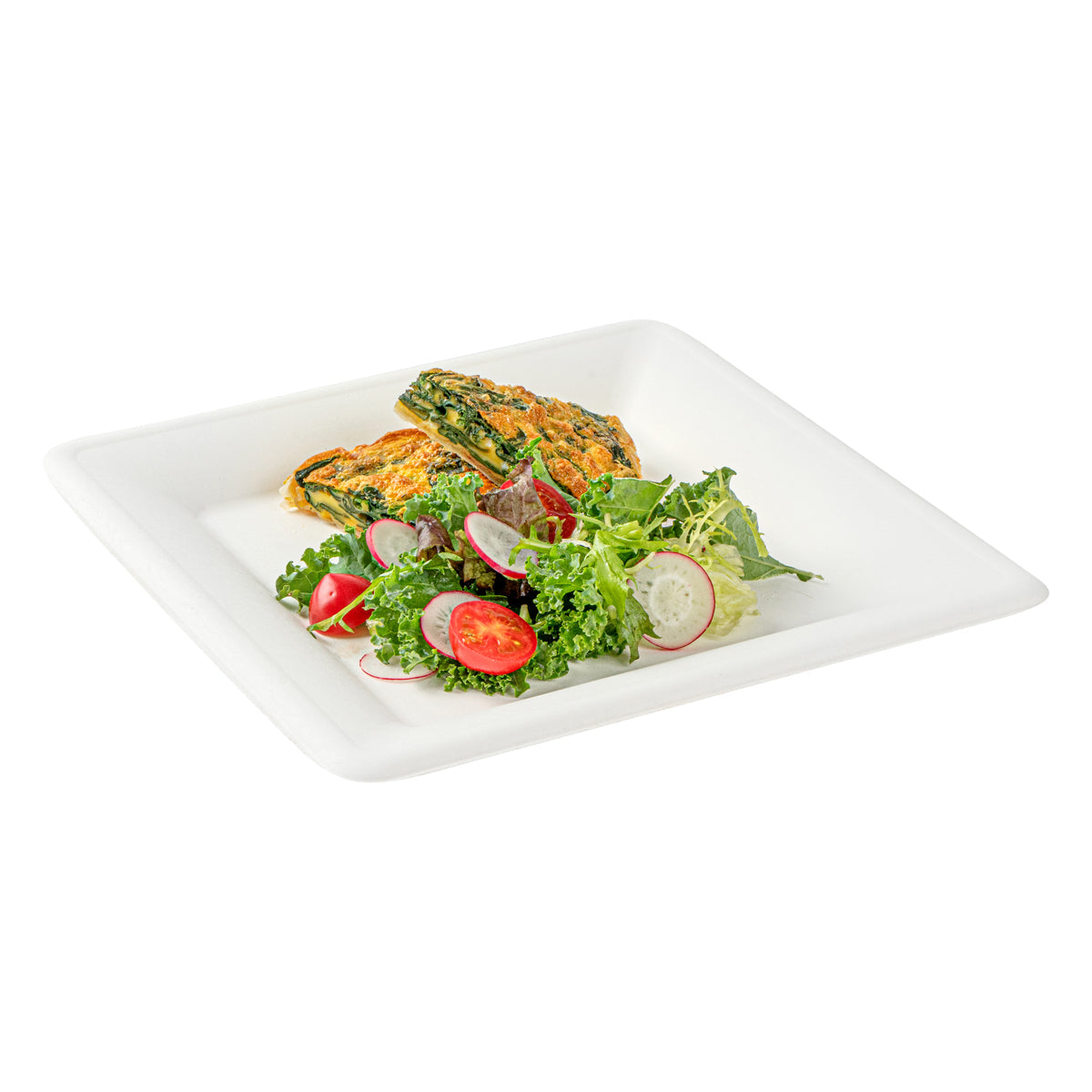 Wholesale Restaurantware Square White Sugarcane Large Plate- Bulk