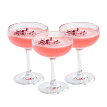 Restaurantware 7 oz Polycarbonate Champagne Glass 6 CT