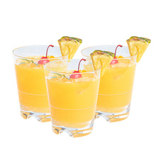 Wholesale Restaurantware 14 oz Polycarbonate Old Fashioned Glass 6 CT-8ct Case Bulk