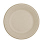 Wholesale World Centric 6 Compostable Fiber Plates- Bulk