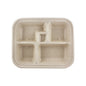 Wholesale World Centric 5-Compartment Fiber Bento Box-300 CT Bulk