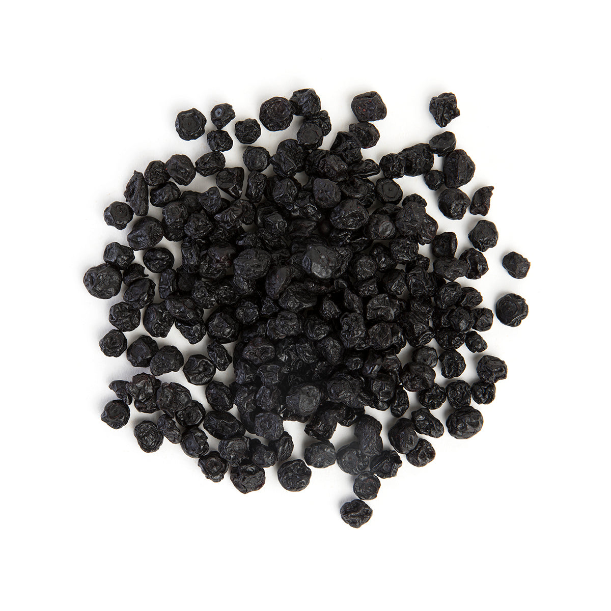 Wholesale Bazzini Dried Blueberries 5 lb-5 LB Bulk