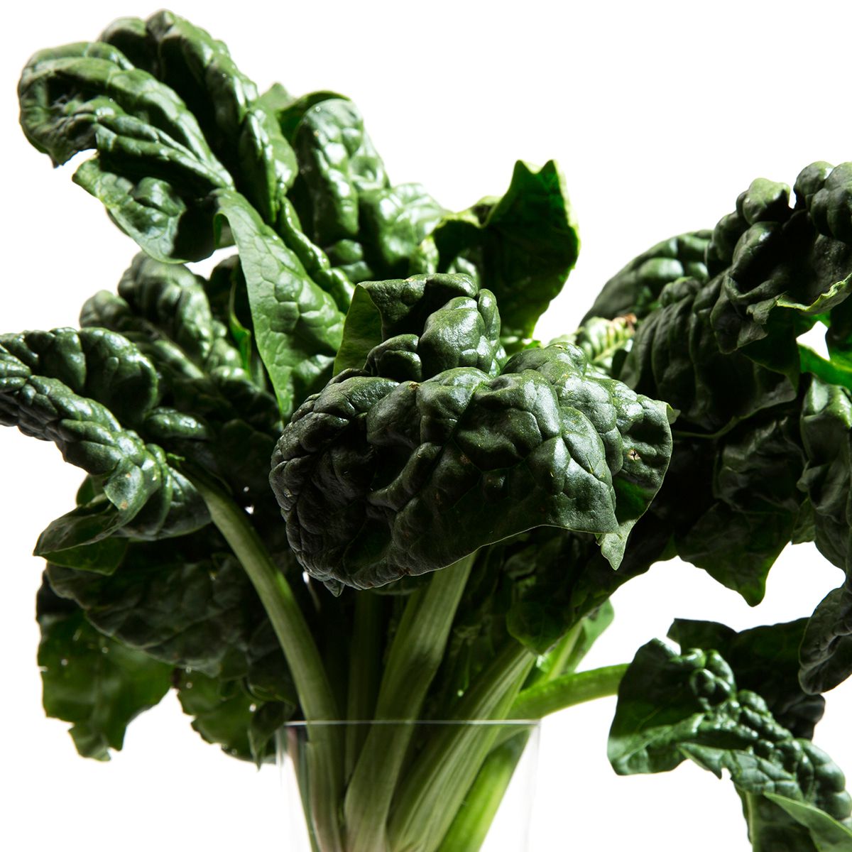 Wholesale BoxNCase Organic Bunched Spinach- Bulk