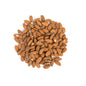 Wholesale Bazzini Raw Shelled Almonds-4 LB Bulk