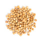Wholesale Bazzini Roasted Blanched Filberts-4 LB Bulk