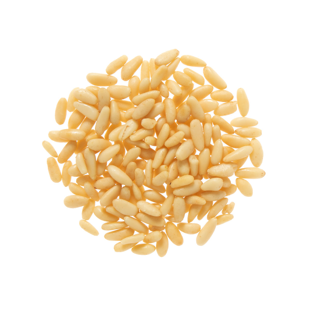 Wholesale BoxNCase Spanish Pine Nuts-5 LB Bulk