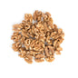 Wholesale Bazzini Walnut Halves-2.5 LB Bulk