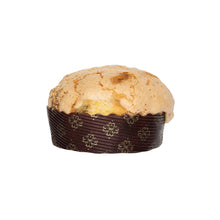 Wholesale Galup Traditional Panettone Mini- Bulk