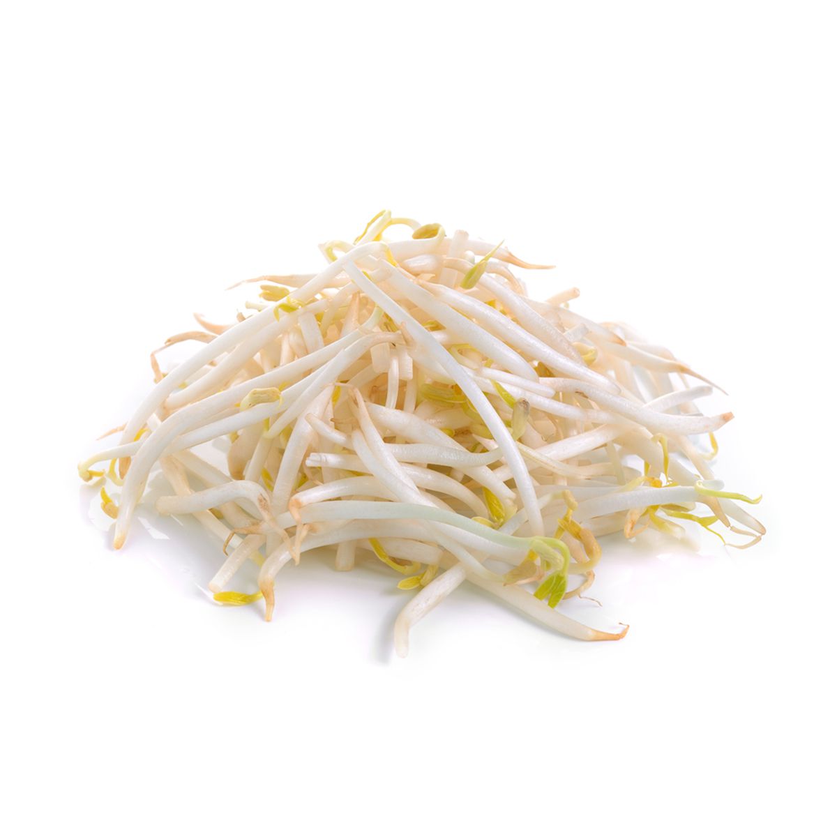 Wholesale BoxNCase Bean Sprouts-10 LB Bulk