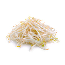 Wholesale BoxNCase Bean Sprouts- Bulk