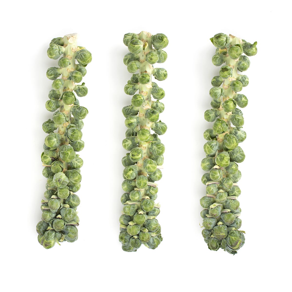 BoxNCase Brussels Sprouts on the Stalk