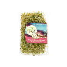 Wholesale Jonathan Sprouts Clover Sprouts 4 OZ- Bulk