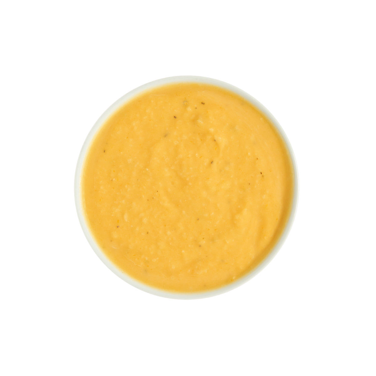 Wholesale Blount Fine Foods Butternut Squash & Apple Soup 4 LB- Bulk