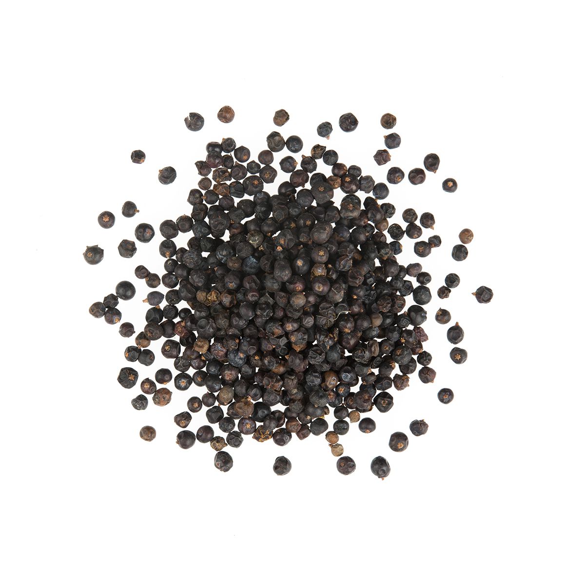 Wholesale Diretta Juniper Berries- Bulk