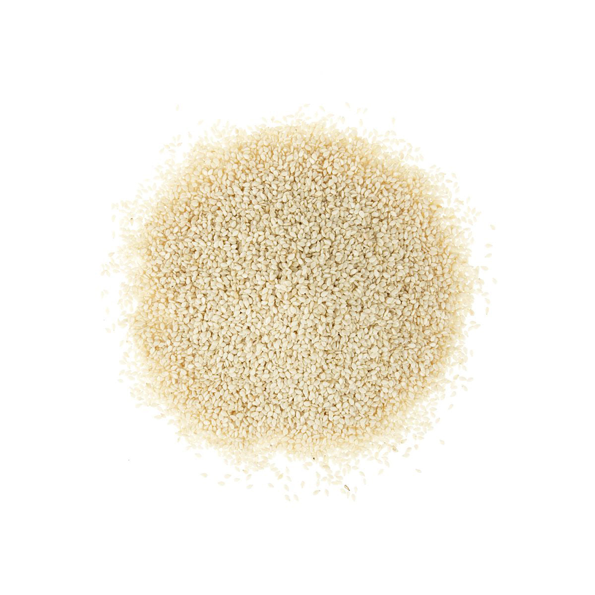 BoxNCase White Sesame Seeds