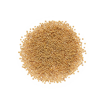 Wholesale Diretta Yellow Mustard Seed- Bulk