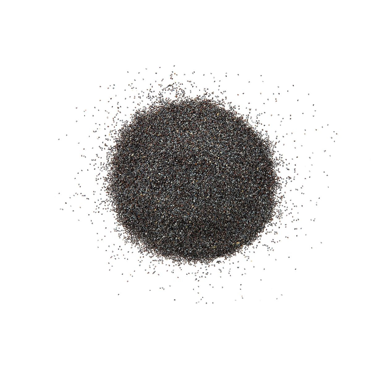 Wholesale Diretta Poppy Seeds-3 Pack Bulk