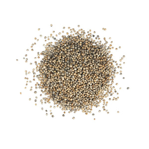 Wholesale Diretta Coriander Seeds-3 Pack Bulk