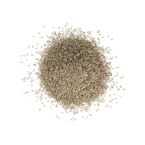 Wholesale Diretta Cumin Seed-3 Pack Bulk