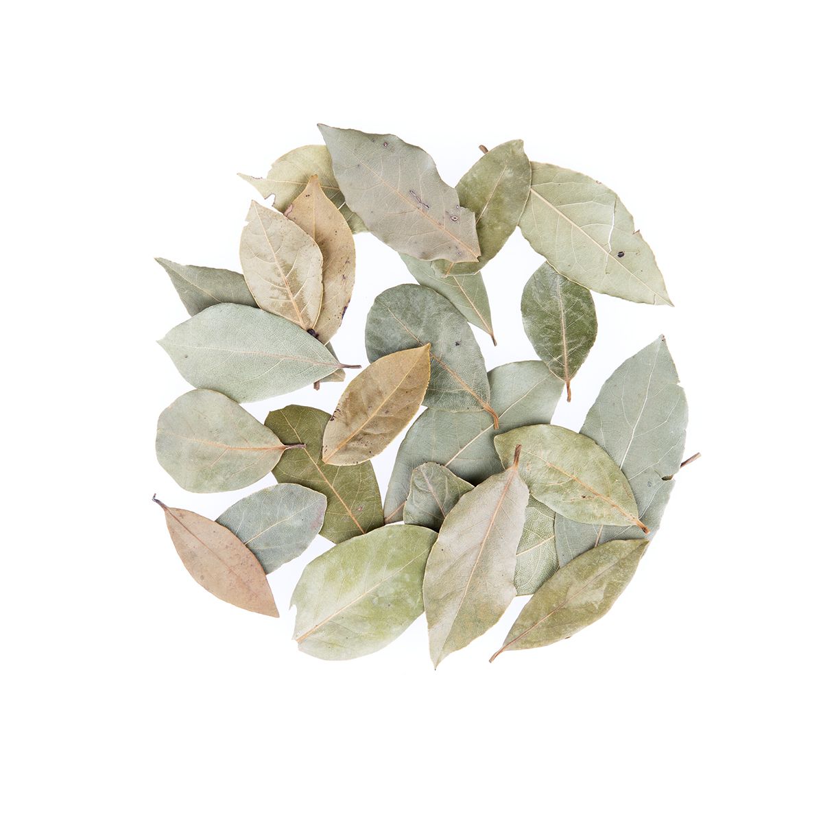 Diretta Dried Bay Leaves 1 Oz Shaker