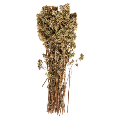Wholesale Delizie Di Calabbria Bunch Wild Oregano 50 GR- Bulk