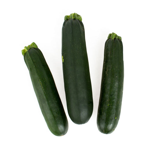Wholesale BoxNCase Medium Zucchini- Bulk