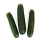 Wholesale BoxNCase Fancy Zucchini- Bulk