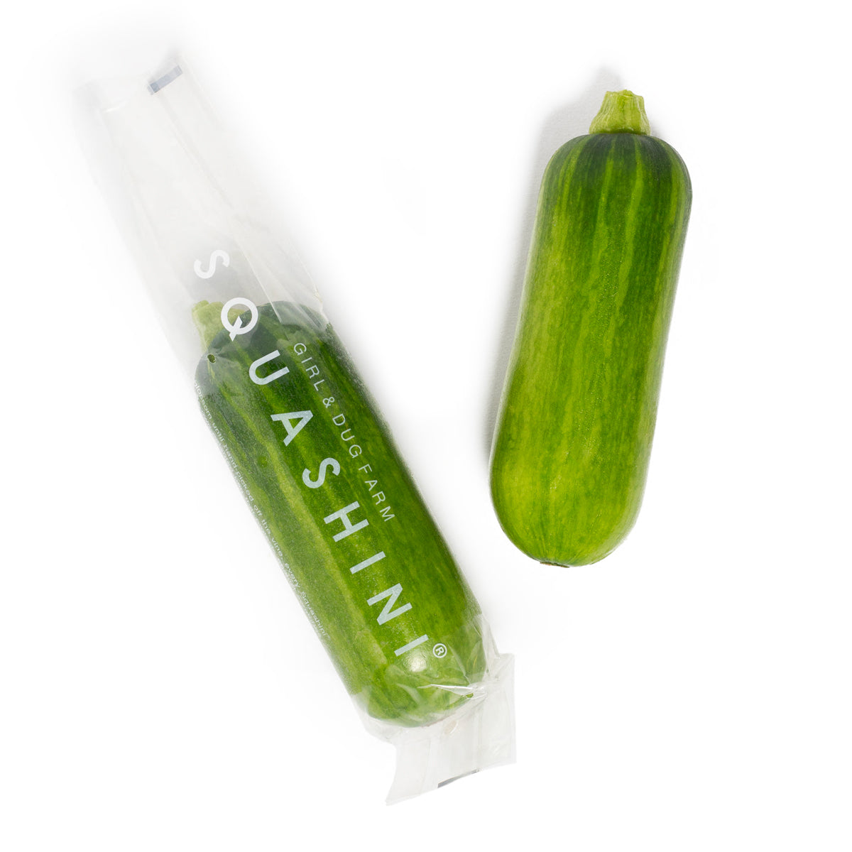 Wholesale Girl & Dug Farm Squashini®- Bulk