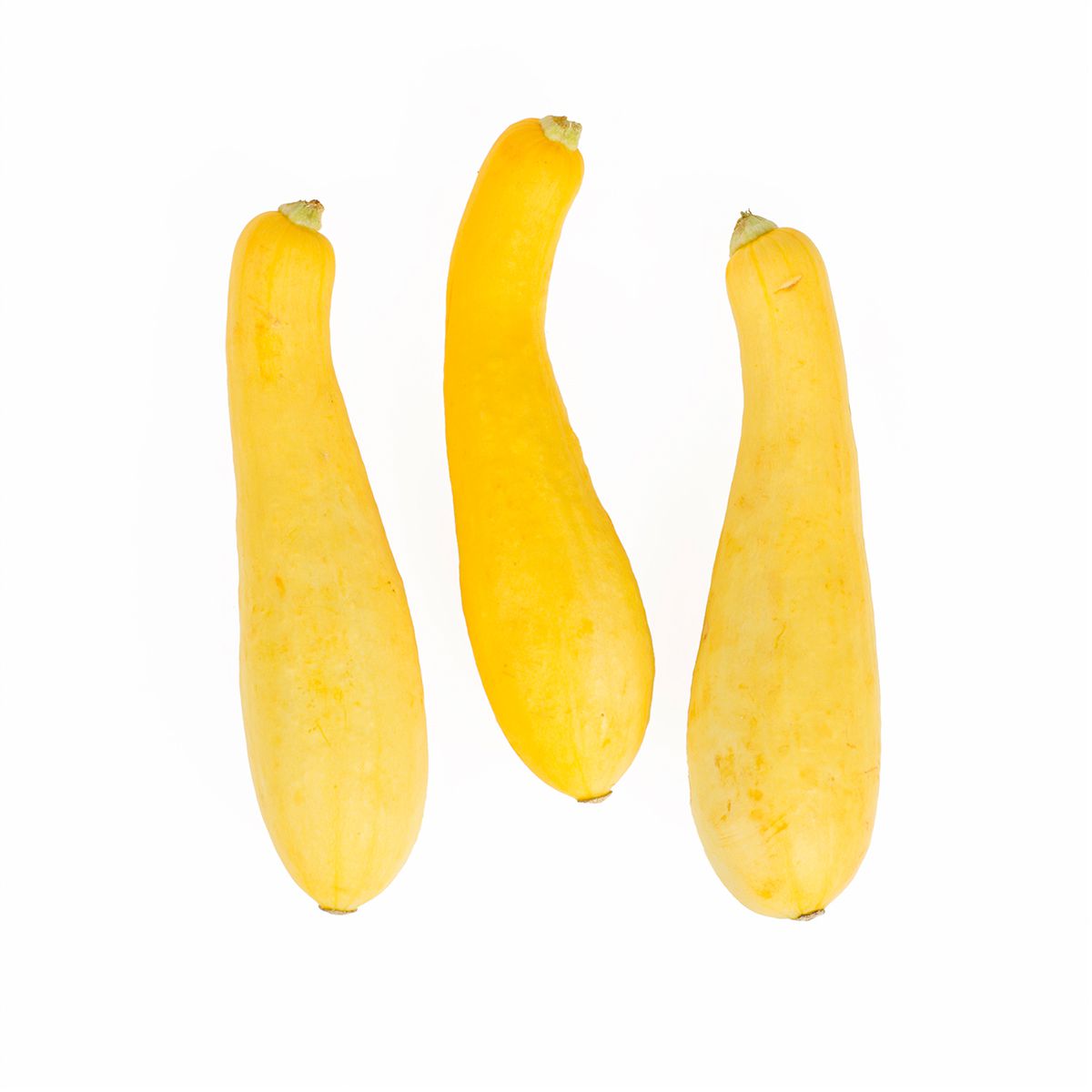 Wholesale BoxNCase Organic Fancy Yellow Squash-1/2 Bushel Bulk