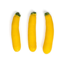 Wholesale BoxNCase Holland Gold Bar Squash- Bulk