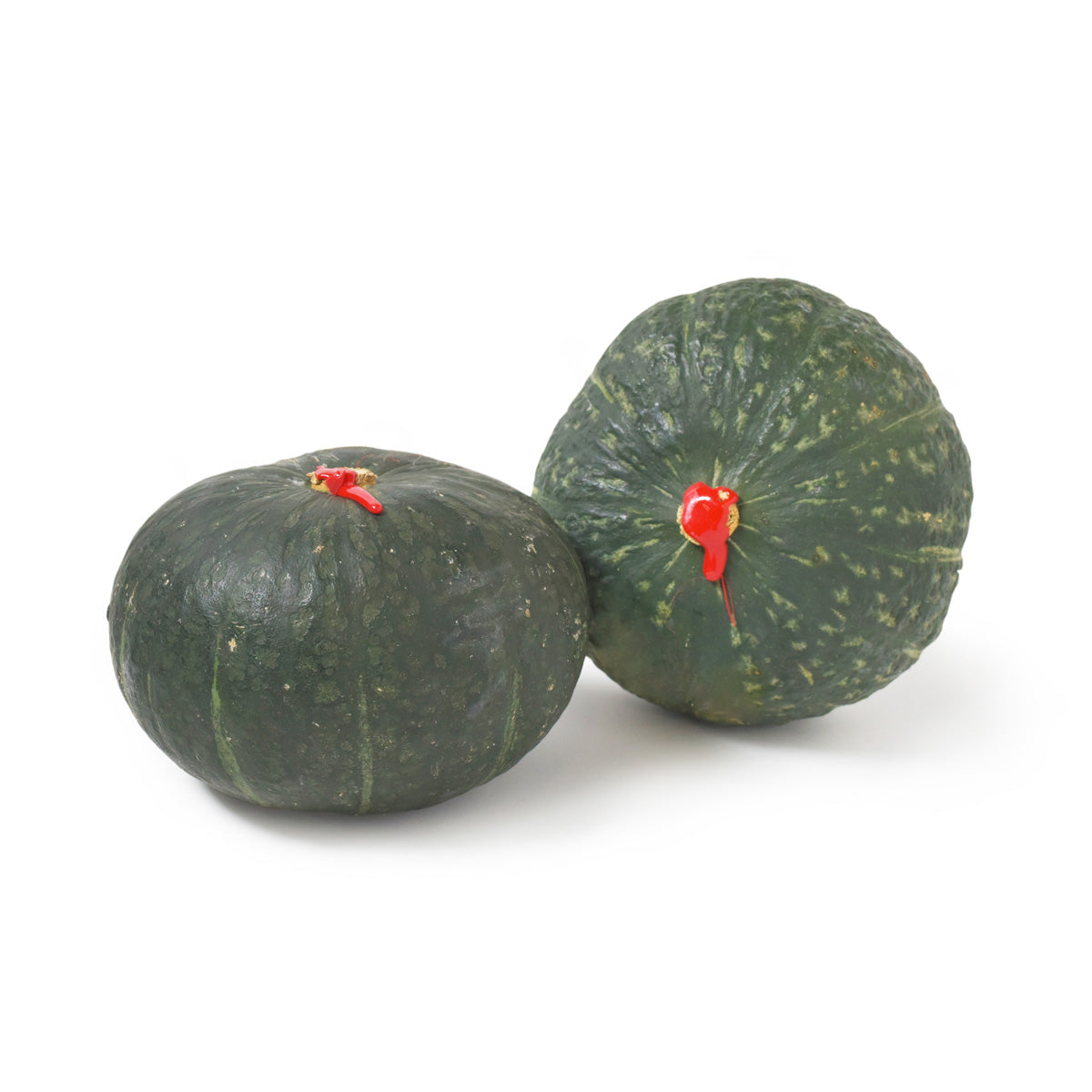 Wholesale BoxNCase Italian Sweet Delica Pumpkin- Bulk