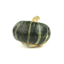 Wholesale BoxNCase Calabaza Squash-35 LB Bulk