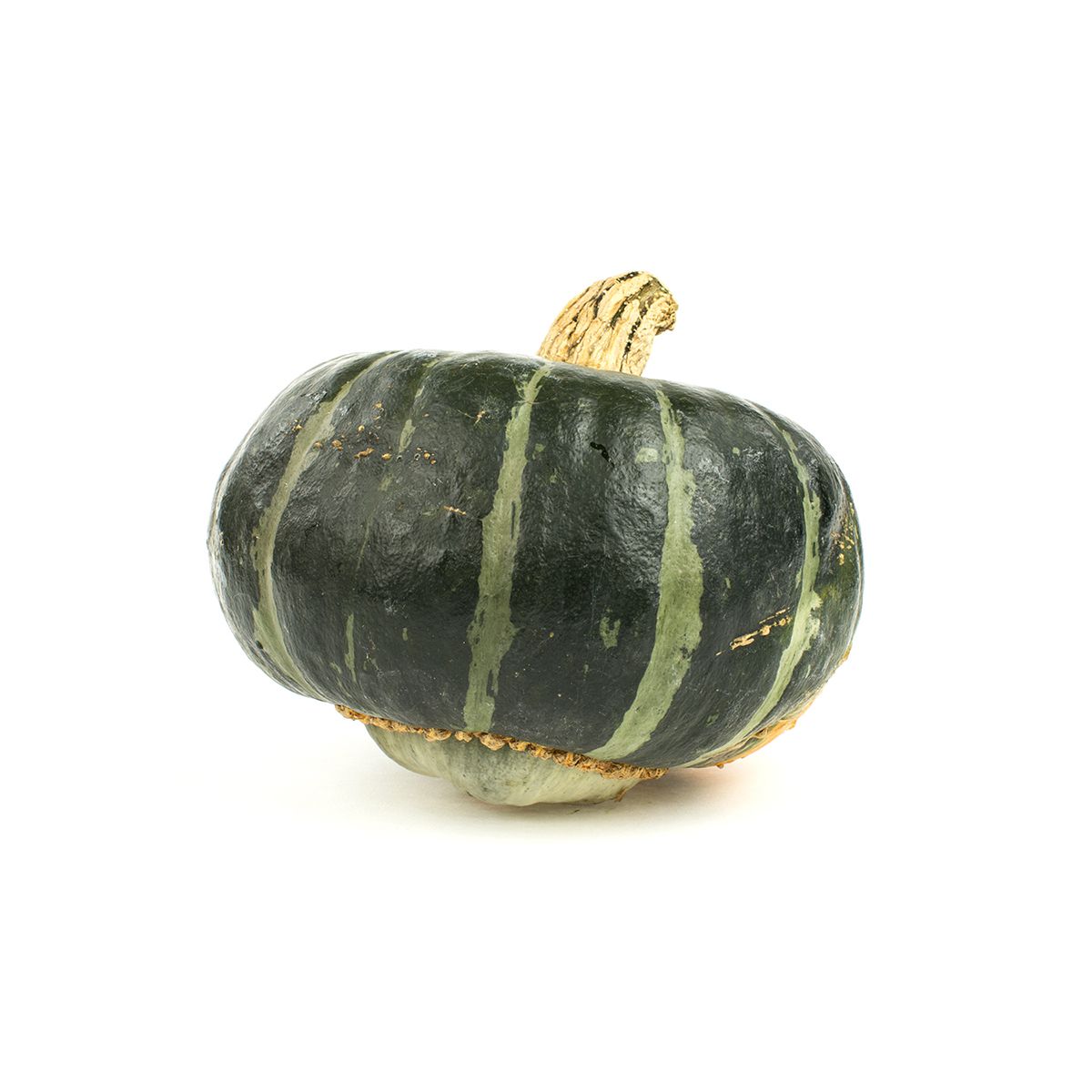 Wholesale BoxNCase Calabaza Squash-35 LB Bulk