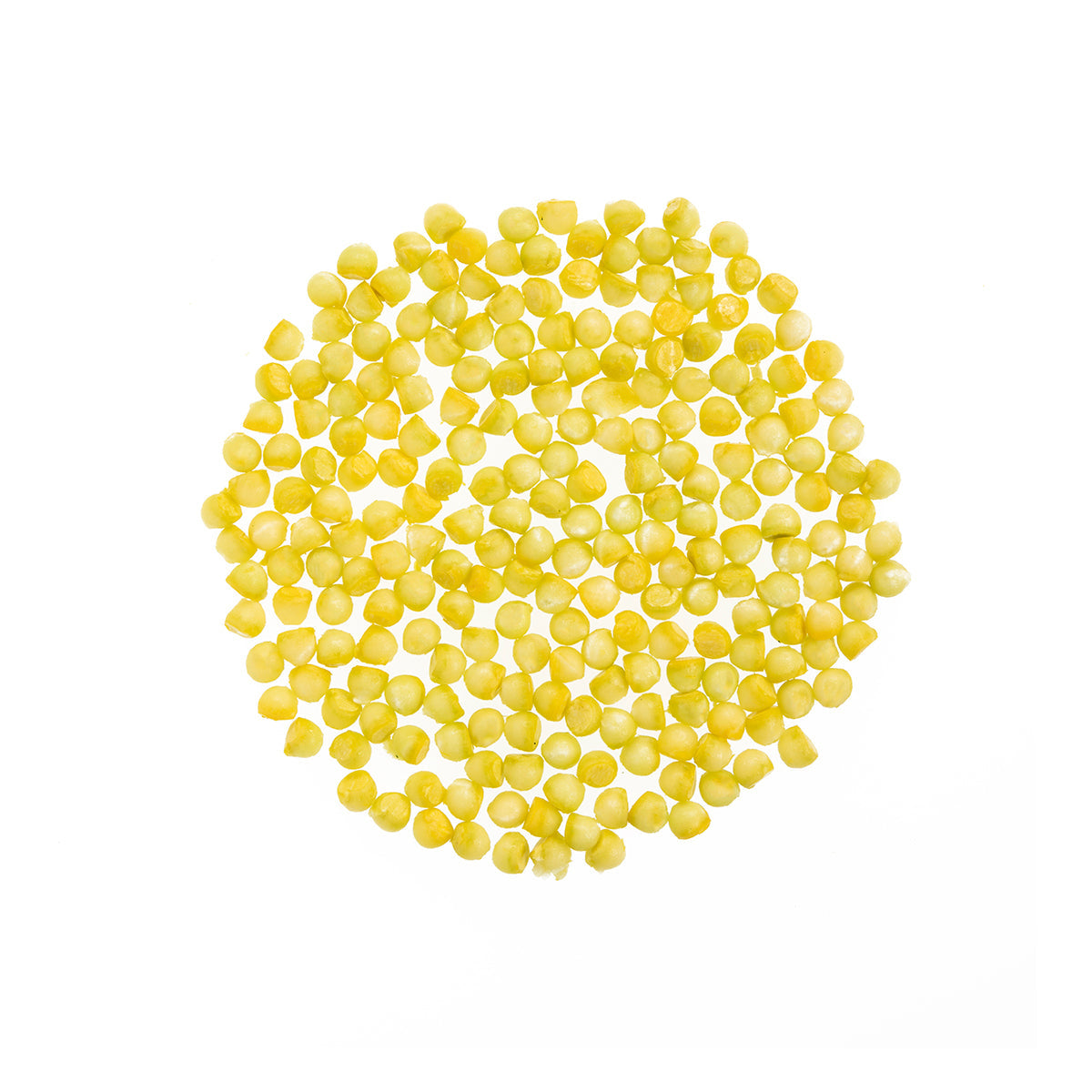 BoxNCase Pearl Yellow Zucchini