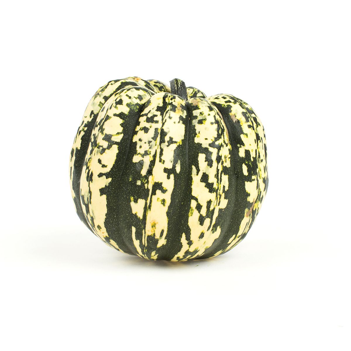 Wholesale BoxNCase Dumpling Squash-35 LB Bulk