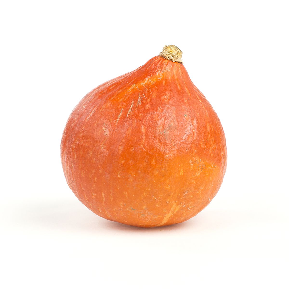 Wholesale BoxNCase Red Kuri Squash-35 LB Bulk