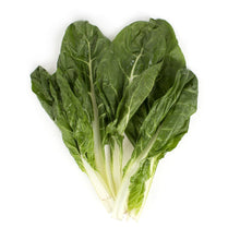 Wholesale BoxNCase Green Swiss Chard- Bulk