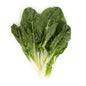 Wholesale BoxNCase Green Swiss Chard-12 CT Bulk