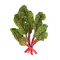 Wholesale BoxNCase Red Swiss Chard- Bulk