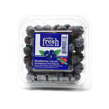 Wholesale Packer Blueberries 12count-1ct Case Bulk