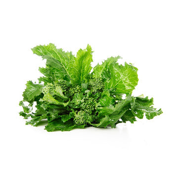 Wholesale Packer Broccoli Rabe 20count-1ct Case Bulk