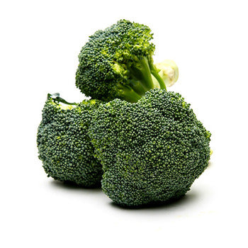 Packer Broccoli 14count